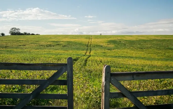 Investigação foi instaurada por meio de inquérito civil conduzido pelo Gaema. Foto: Reprodução