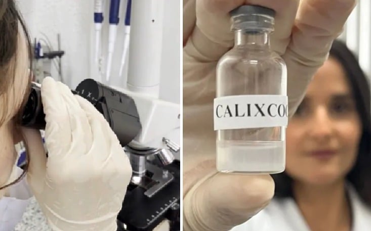 UFMG inicia testes em humanos da vacina Calixcoca contra dependência de crack e cocaína após resultados positivos em estudos.