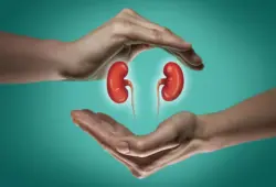 Mais de 20 milhões de brasileiros têm doença renal crônica