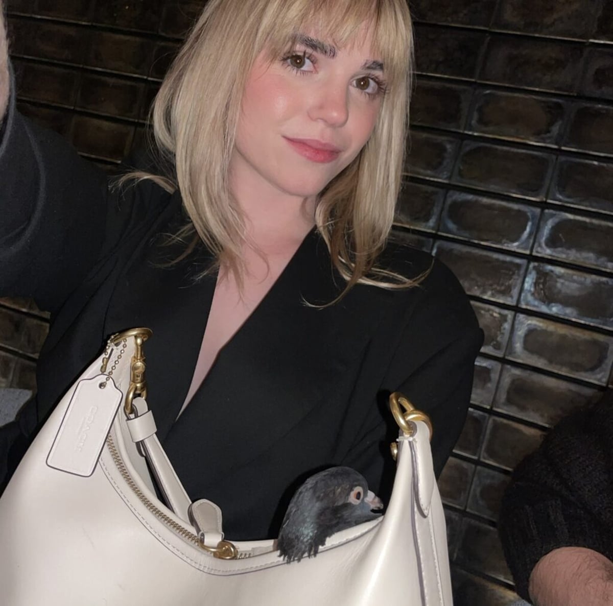 Influenciadora viraliza ao passear com pombo de estimação dentro da bolsa