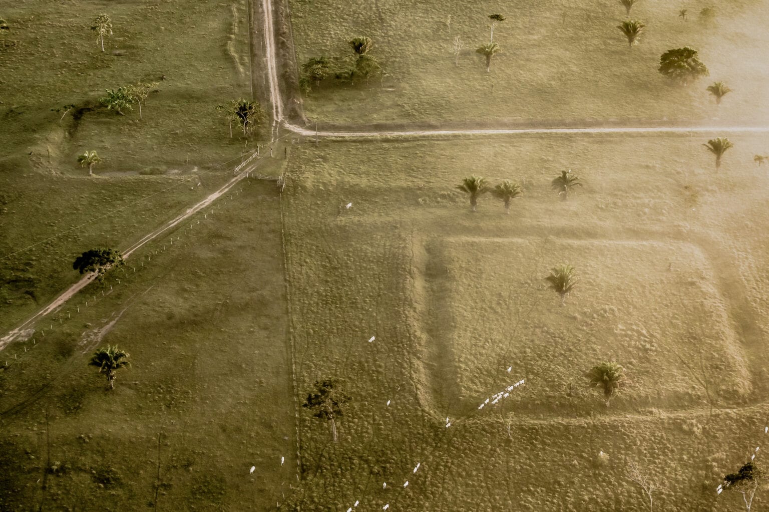 Os estudos também indicam que os geoglifos não funcionavam como aldeias permanentes ou estruturas militares.