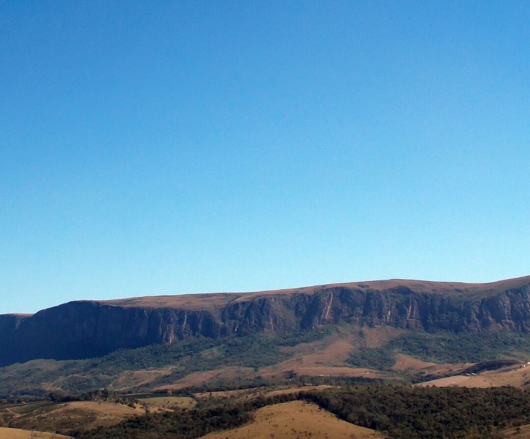 Pesquisadores identificam quatro novas espécies de peixe cascudinhos