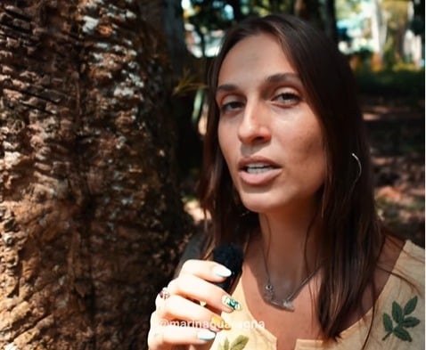 Roubo de sementes ajudou a derrubar a borracha brasileira