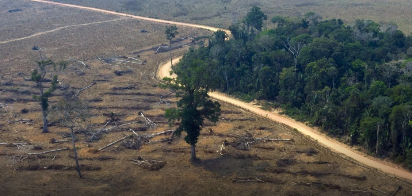 Justiça do Acre condena invasores de área protegida e fixa indenização de R$ 1 milhão