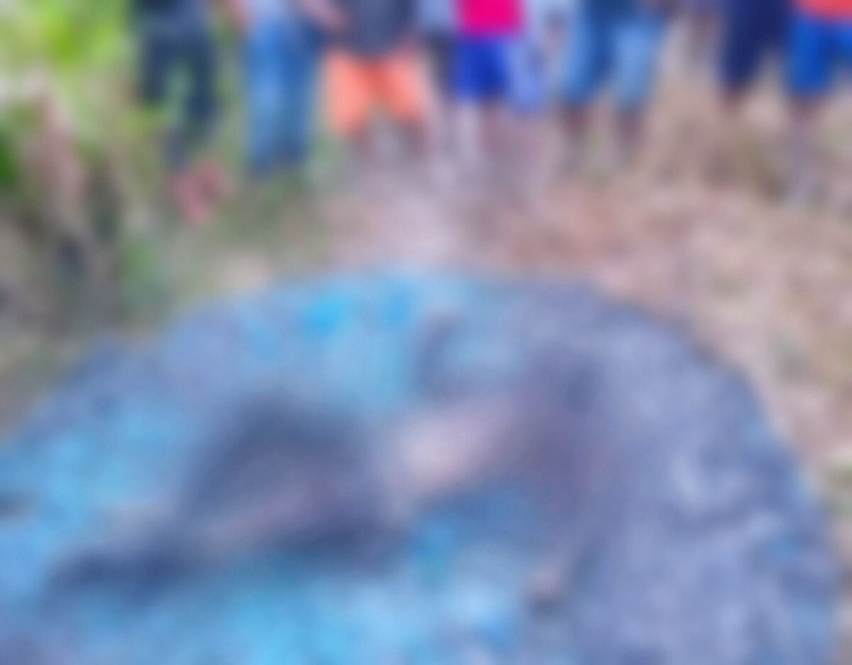 As primeiras informações apontam que o assassinato teria sido motivado por um desentendimento envolvendo limites de terras entre familiares | Foto: Cedida