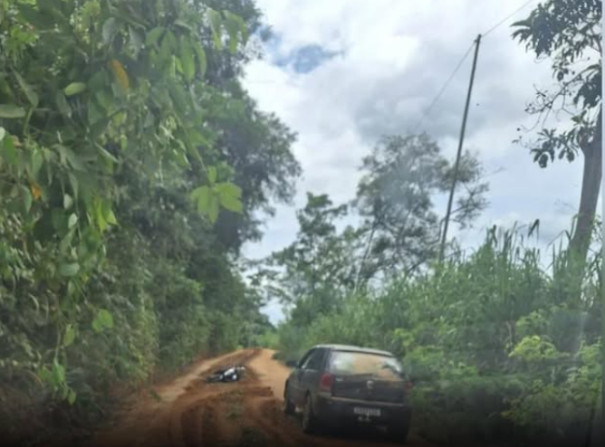 Homem morre após ser atacado por enxame de abelhas