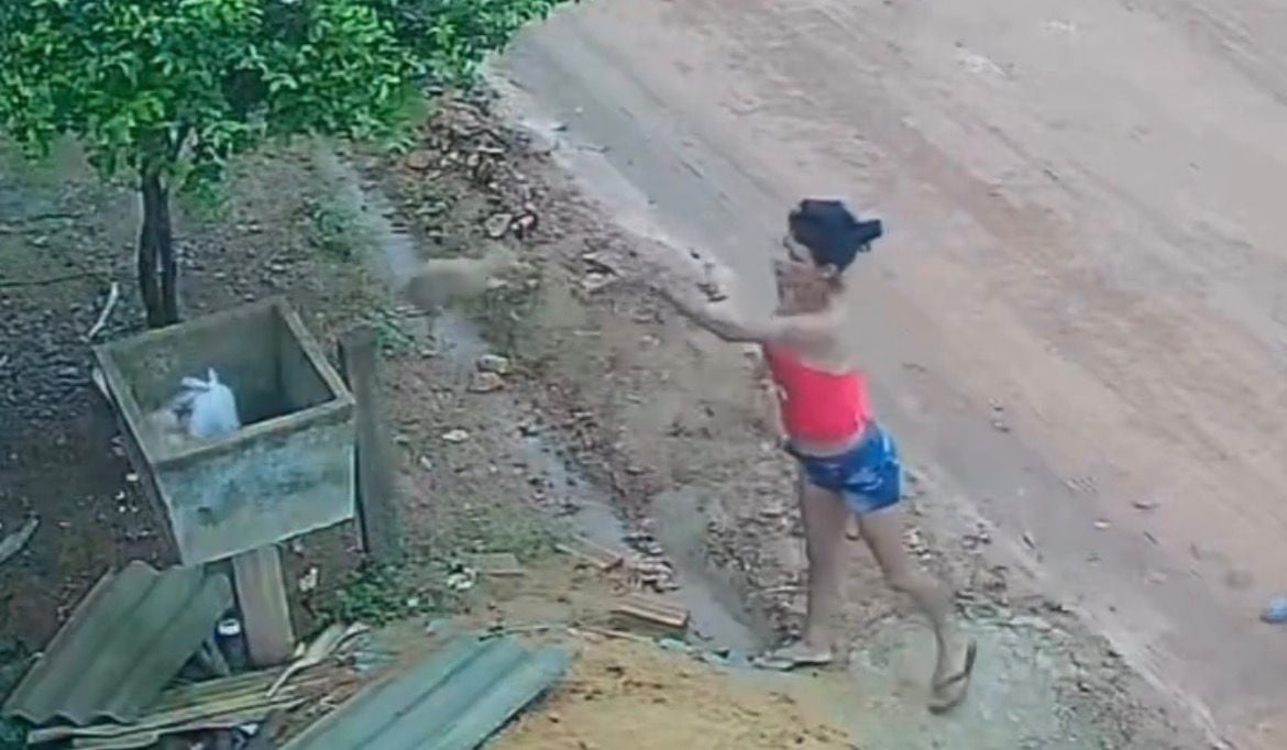 Os animais são arremessados na lixeira | Foto: