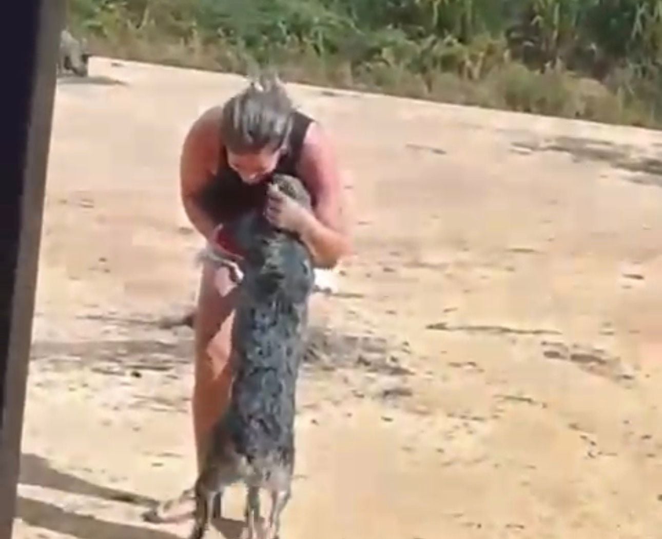 Desesperada à procura do animal, a mulher chegou a divulgar apelos pedindo ajuda para localizar a cachorrinha