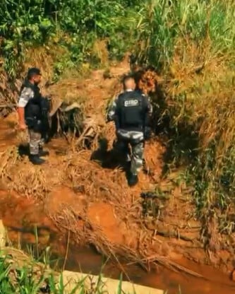 A motocicleta foi localizada escondida em uma área de mata no bairro Cohab