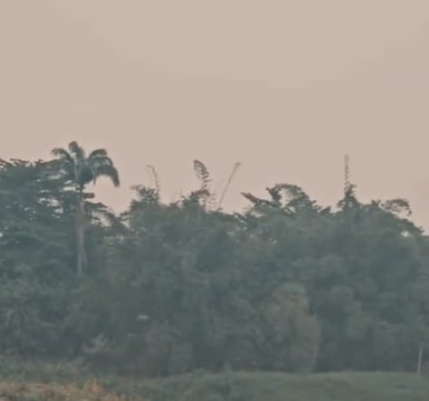 Acre enfrenta picos de poluição do ar e níveis superam grandes centros mundiais