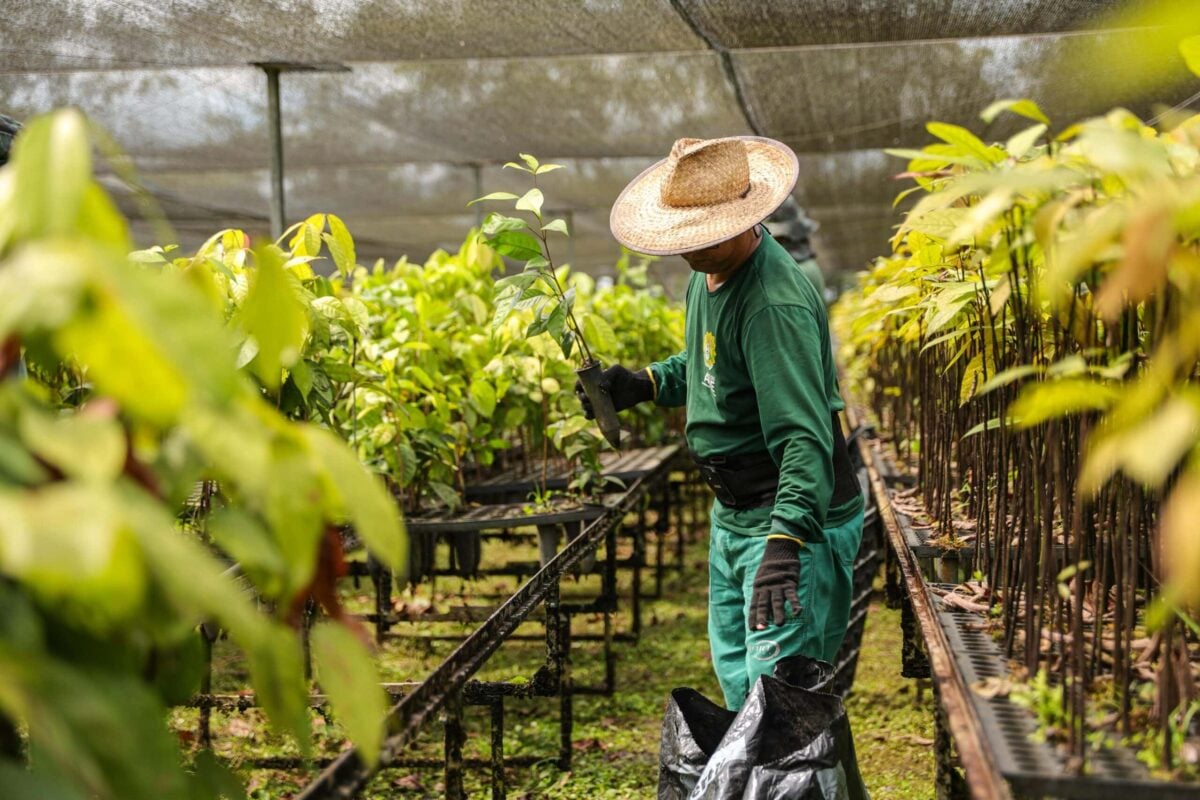 Estado lança licitação para levar irrigação a produtores rurais no Acre