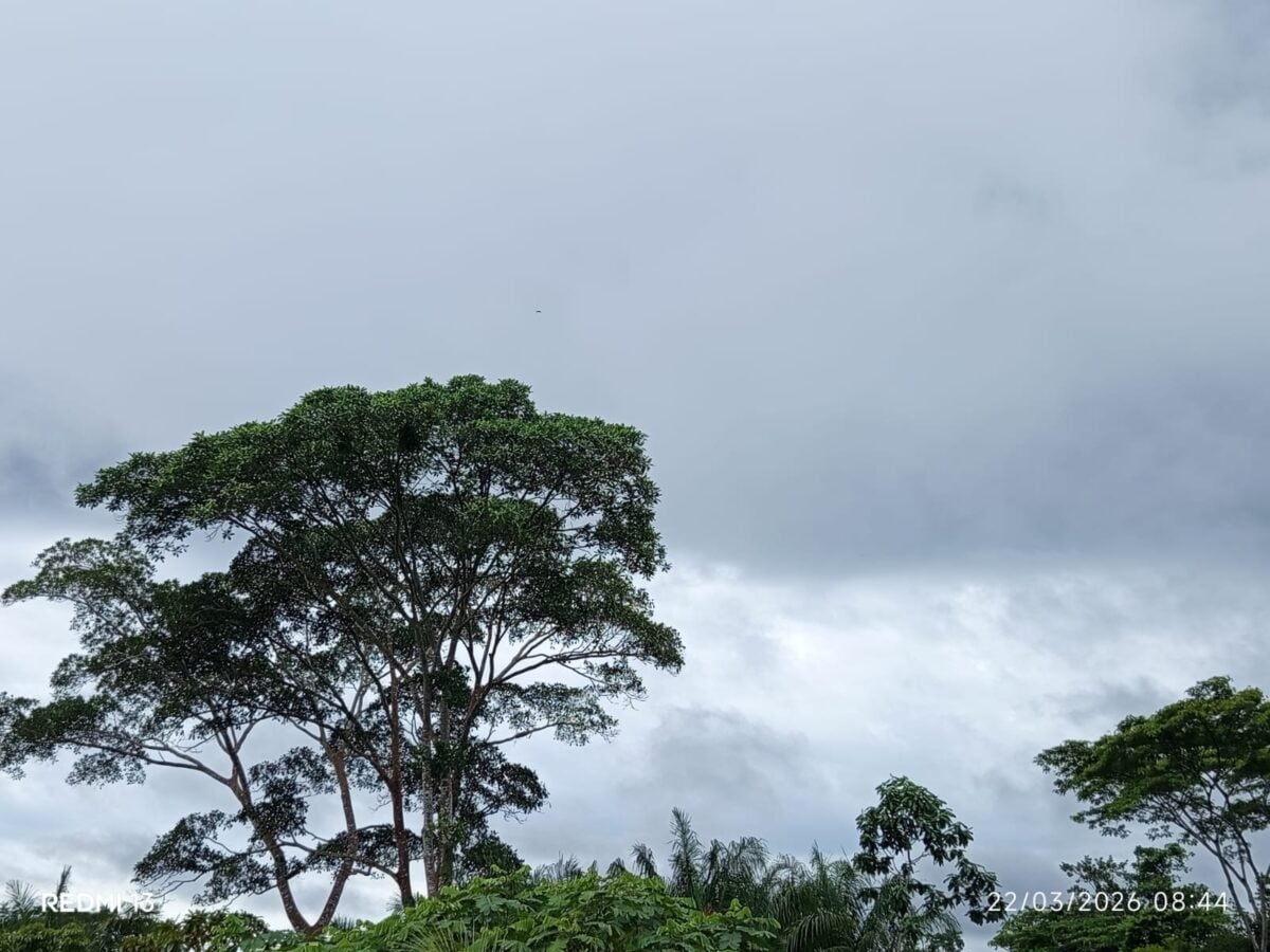 Domingo será de calor e chuvas isoladas em todo o Acre
