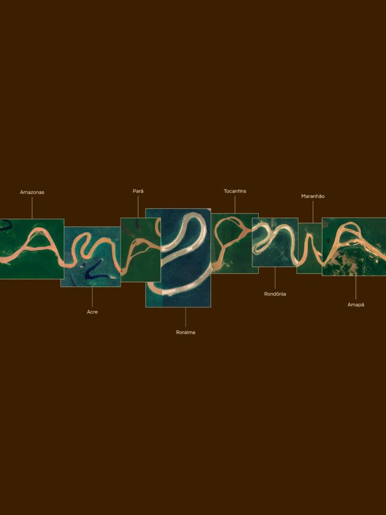 662308717 18573467020060507 5564061301384829047 N