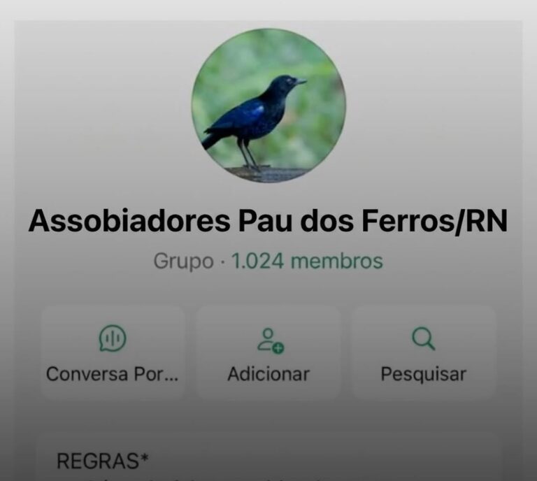 Grupos de assobio e a nova onda de denúncias de assédio nas ruas