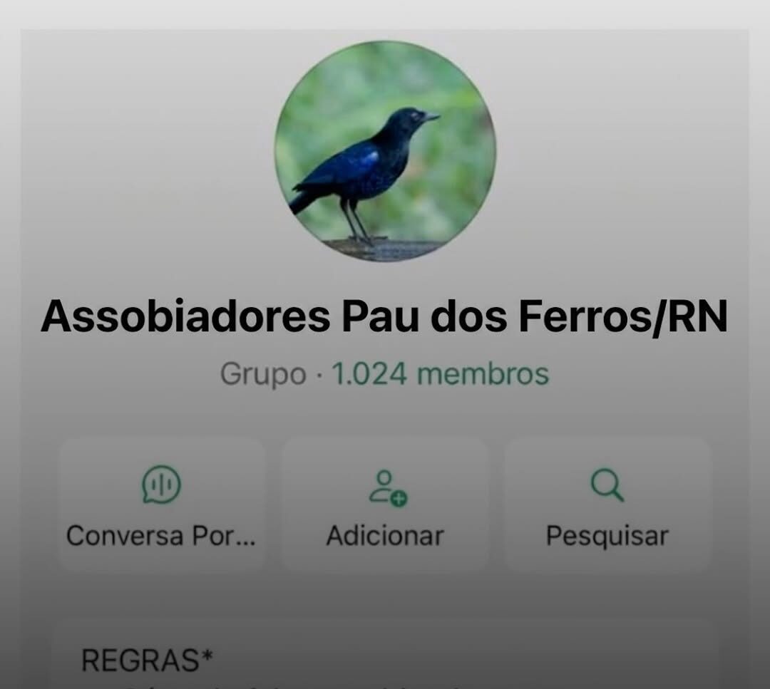Grupos de assobio e a nova onda de denúncias de assédio nas ruas