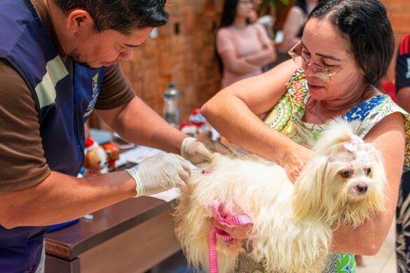 Quase 150 animais são vacinados contra a raiva em ação em Rio Branco
