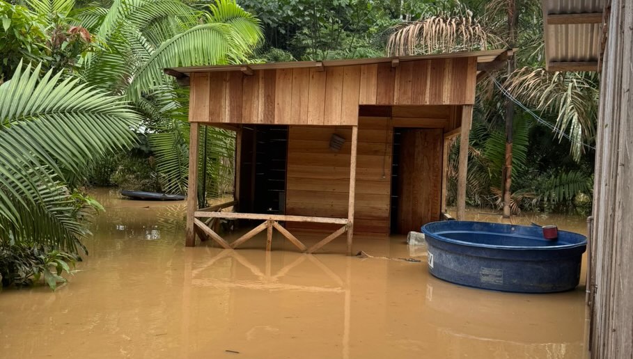 No Acre, cheia fora de época atinge 18 aldeias e destrói produção No Acre, cheia fora de época atinge 18 aldeias e destrói produção