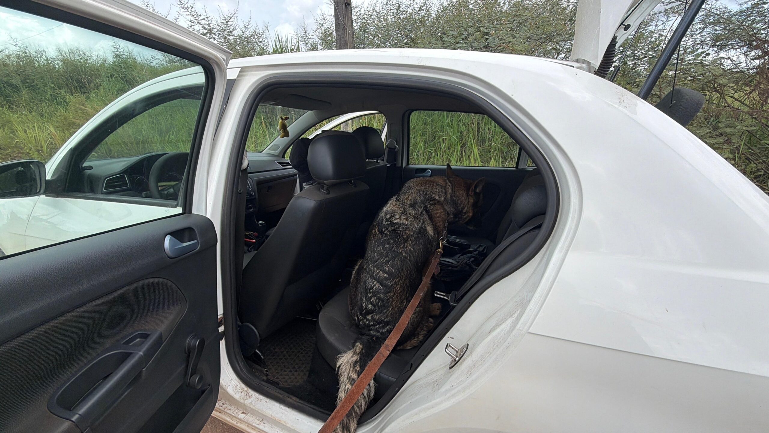 Advogado é preso com droga nas proximidades de presídio em Rio Branco