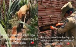 BeFunky Collage (19)