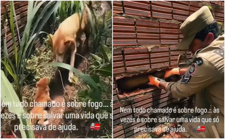 BeFunky Collage (19)