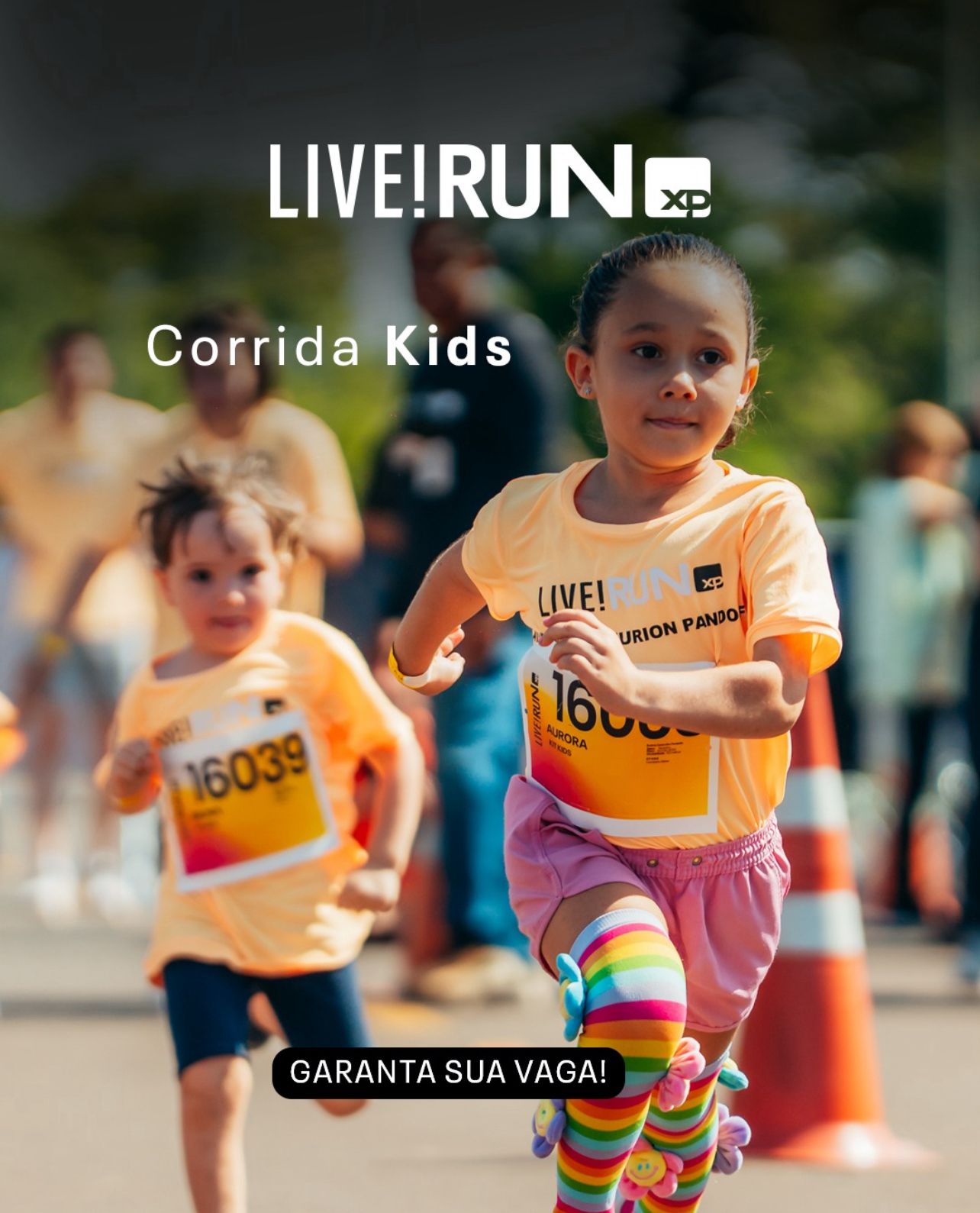 Corrida (5)