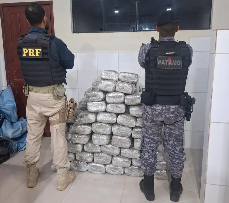 Operação conjunta intercepta carro com carga milionária de skunk na BR-364