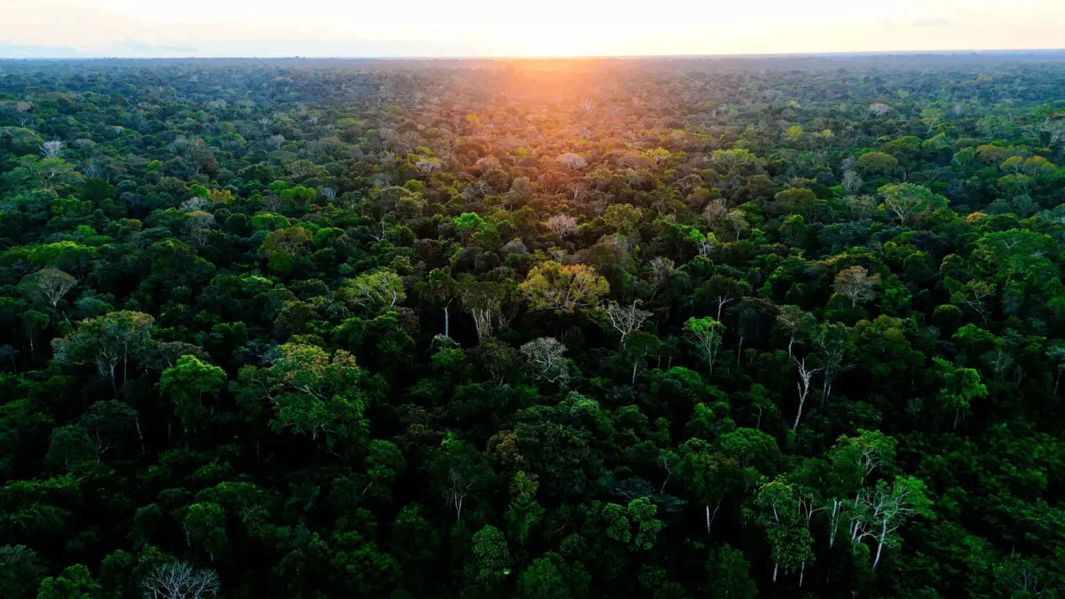 Acre está entre os estados que mais reduziram perda de florestas em 2025
