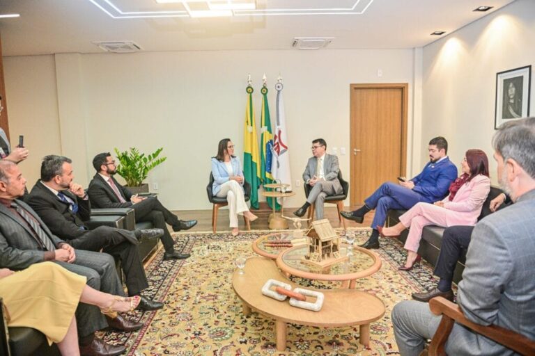 Mailza e MPAC definem prioridades para proteção de crianças no Acre