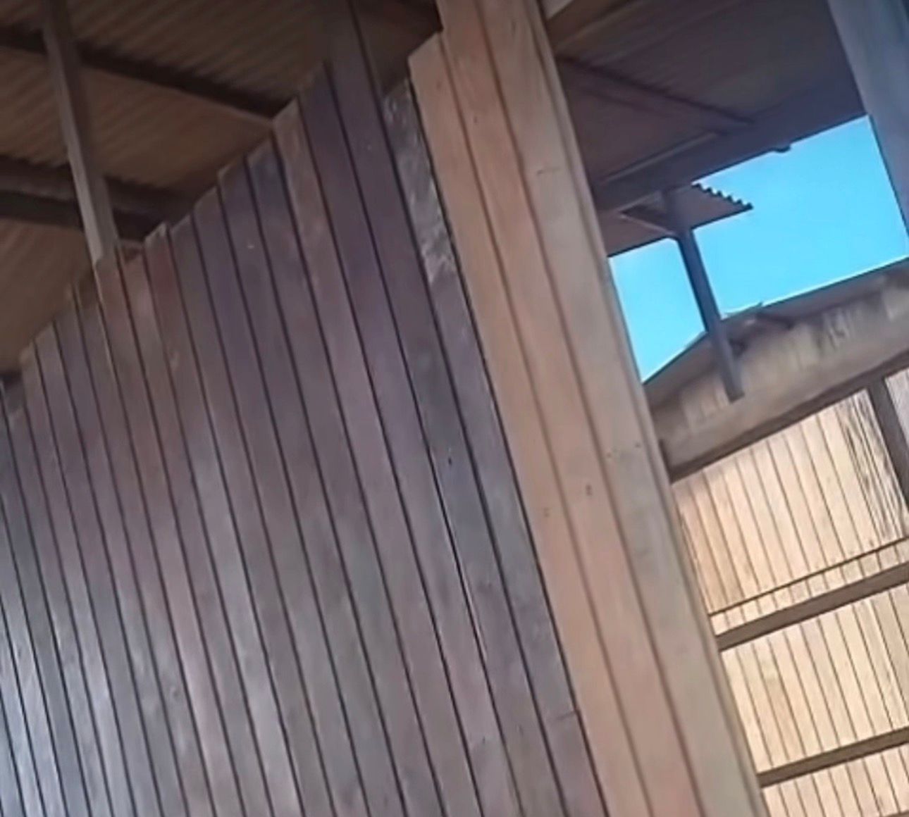 VĂdeo denuncia uso de madeira reaproveitada em casas populares em Sena VĂdeo denuncia uso de madeira reaproveitada em casas populares em Sena