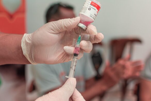 Quase 150 animais são vacinados contra a raiva em ação em Rio Branco