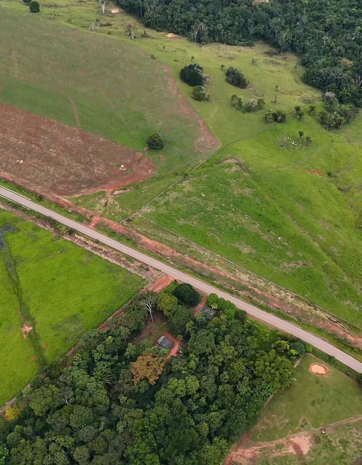 Vídeo de Mariana Guaragna revela história dos geoglifos no Acre