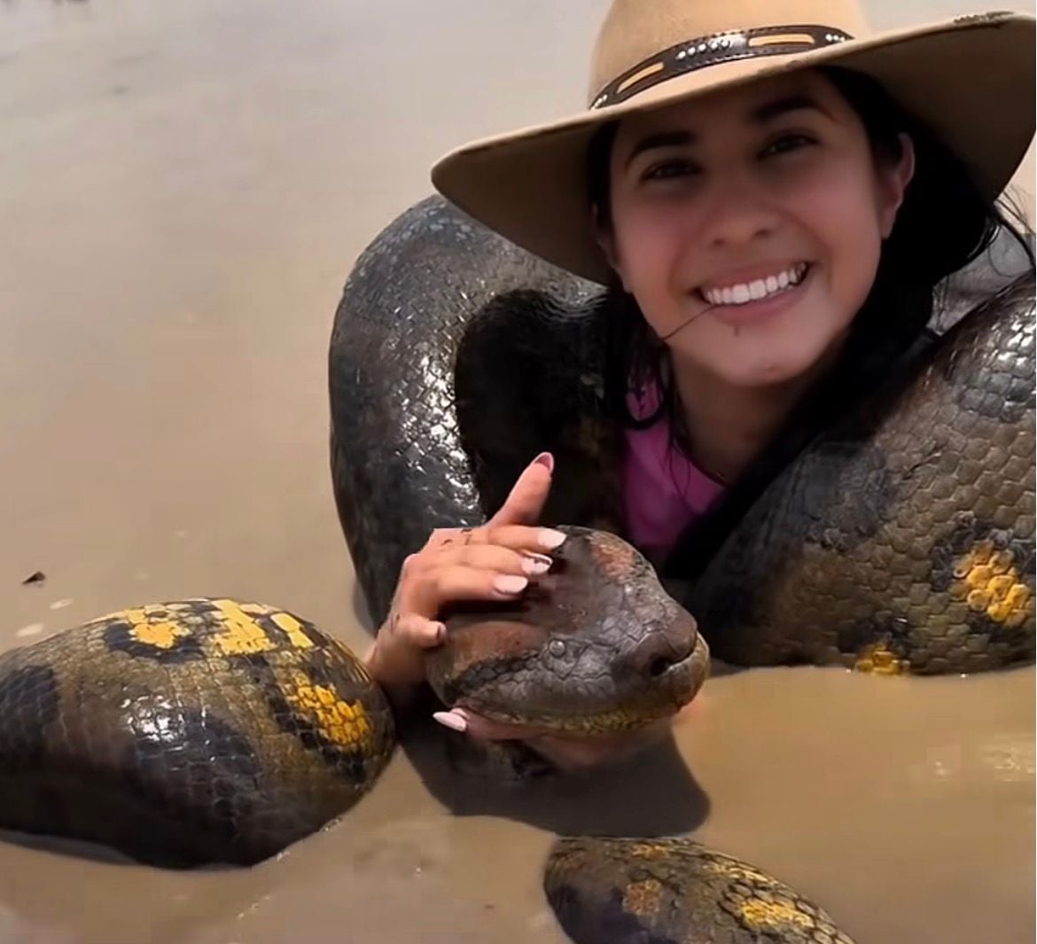 Jovem impressiona com vídeo segurando anaconda gigante
