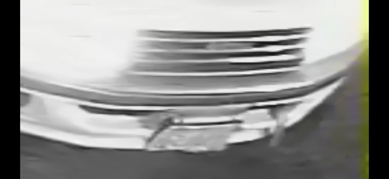 WhatsApp Image 2026 04 03 At 11.47.04