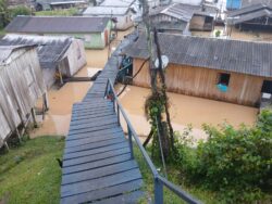 WhatsApp Image 2026 04 04 At 08.47.07