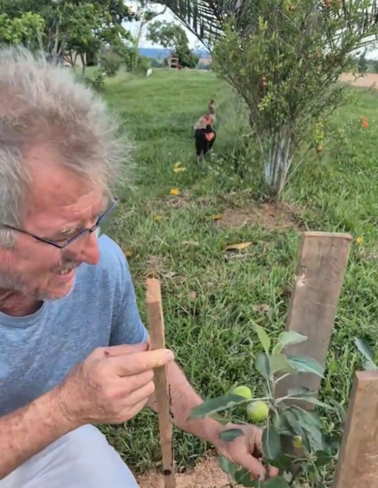 “Terra abençoada”: Agricultor colhe maçãs e surpreende com produção no Acre