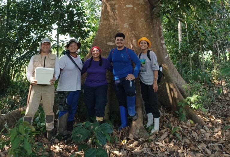 Pesquisa revela existência de mais de 20 novas espécies de formigas no Acre