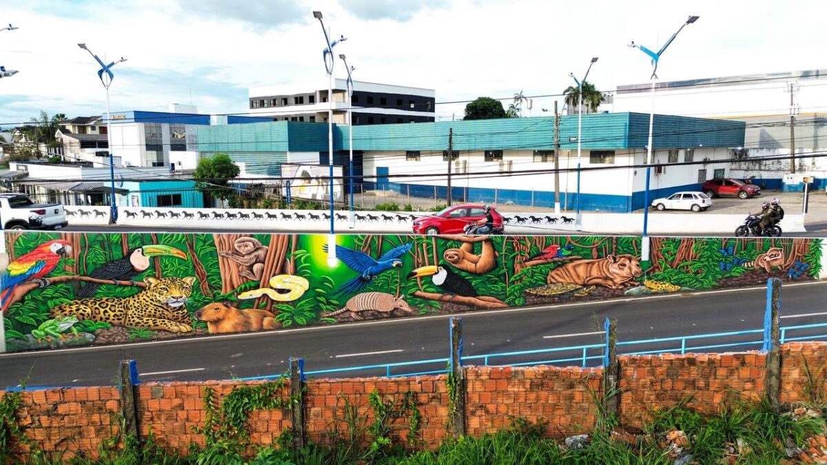 WhatsApp Image 2026 04 08 At 09.21.31 (2)