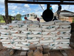 Governo do Acre investe em insumos para ampliar renda da pecuária leiteira