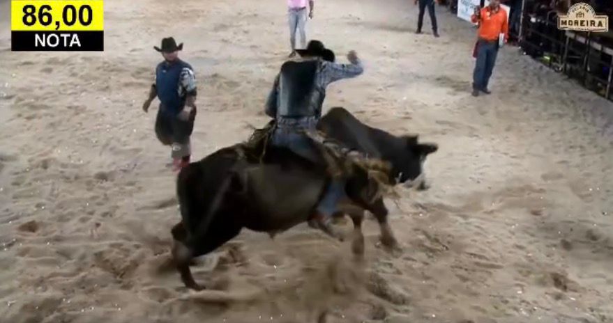 WhatsApp Image 2026 04 12 At 21.02.16 (1)