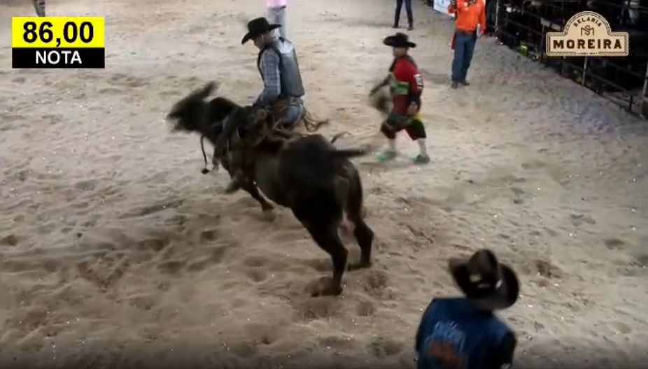 WhatsApp Image 2026 04 12 At 21.02.16