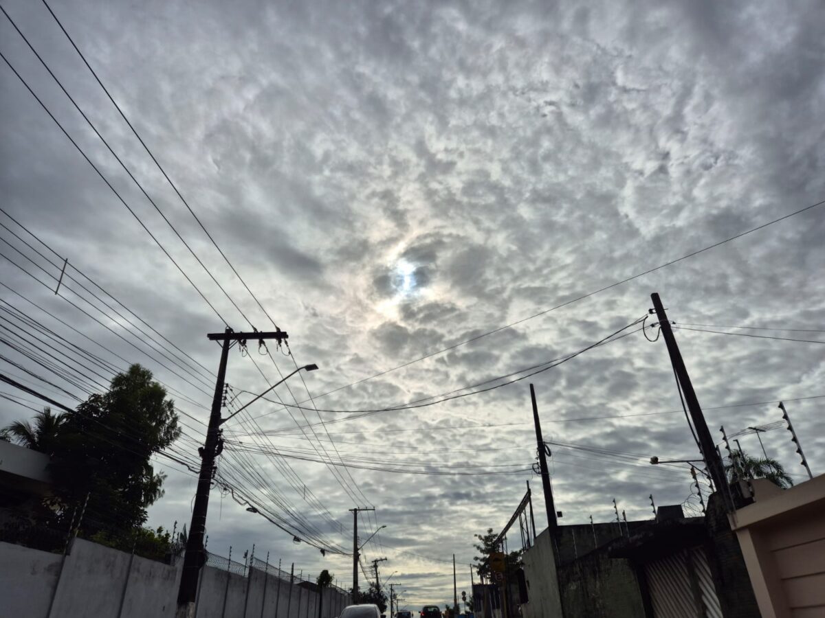 WhatsApp Image 2026 04 13 At 08.31.16