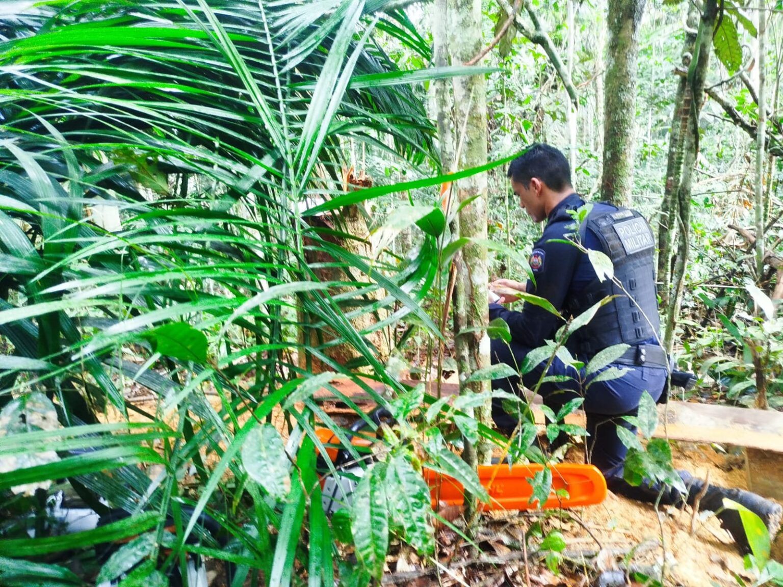 WhatsApp Image 2026 04 14 at 10.25.32 1