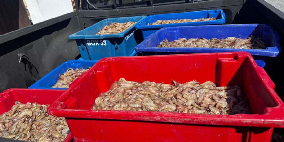 a7b2f0ad b1c4 4901 a99e e0bf67231d32