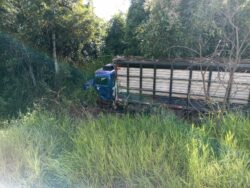 Acidente entre caminhões deixa veículo tombado e outro em área de mata na BR-364