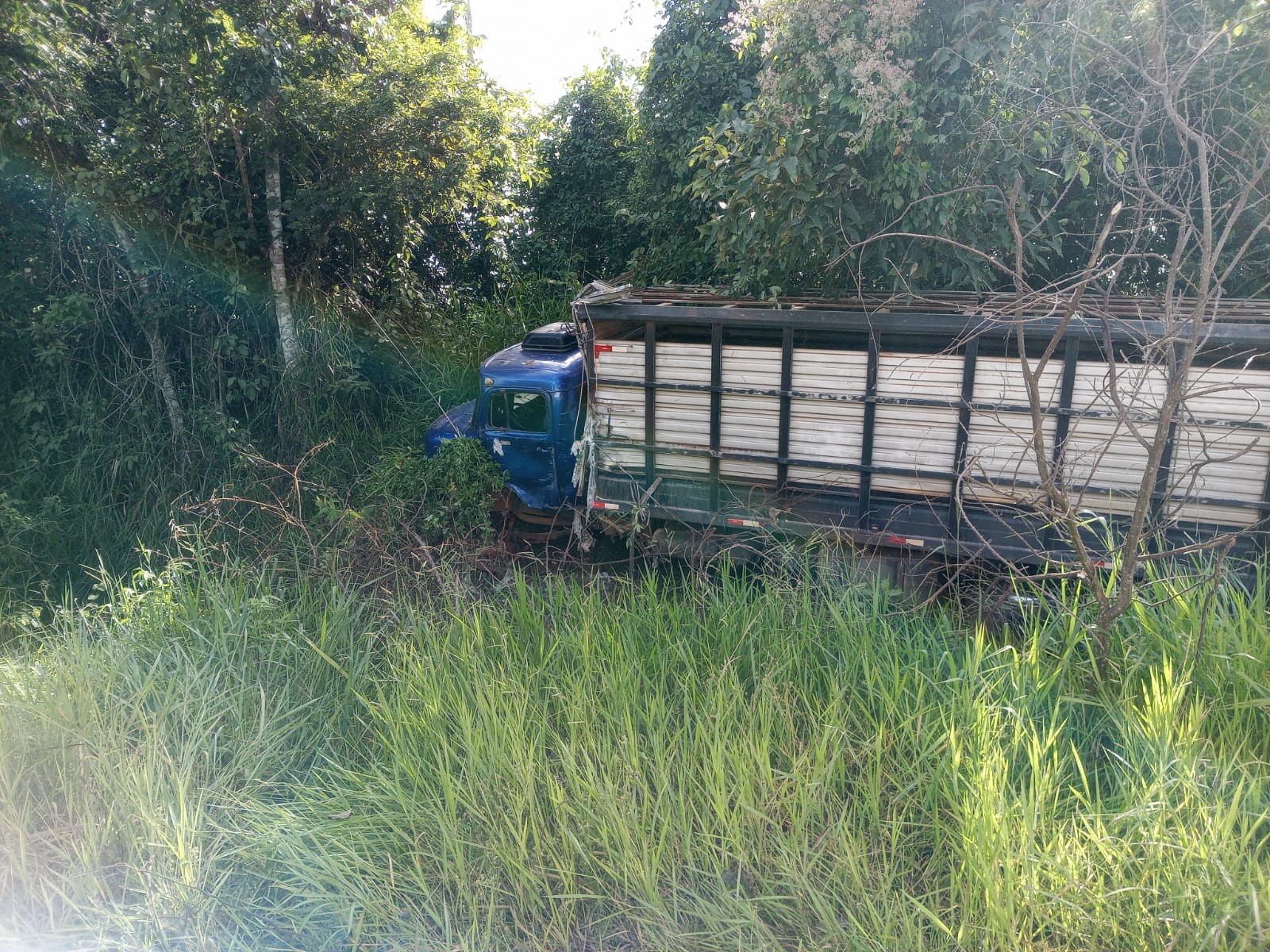 Acidente entre caminhões deixa veículo tombado e outro em área de mata na BR-364 Acidente entre caminhões deixa veículo tombado e outro em área de mata na BR-364