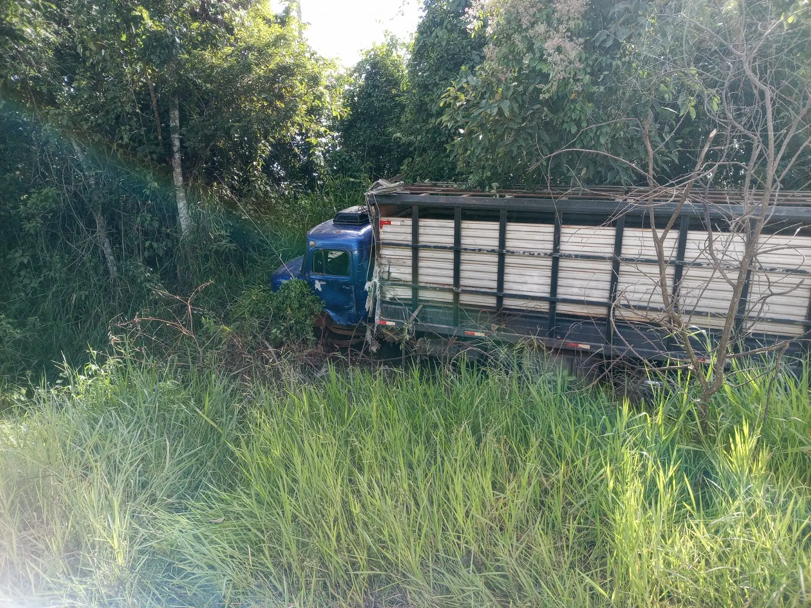 Acidente entre caminhões deixa veículo tombado e outro em área de mata na BR-364