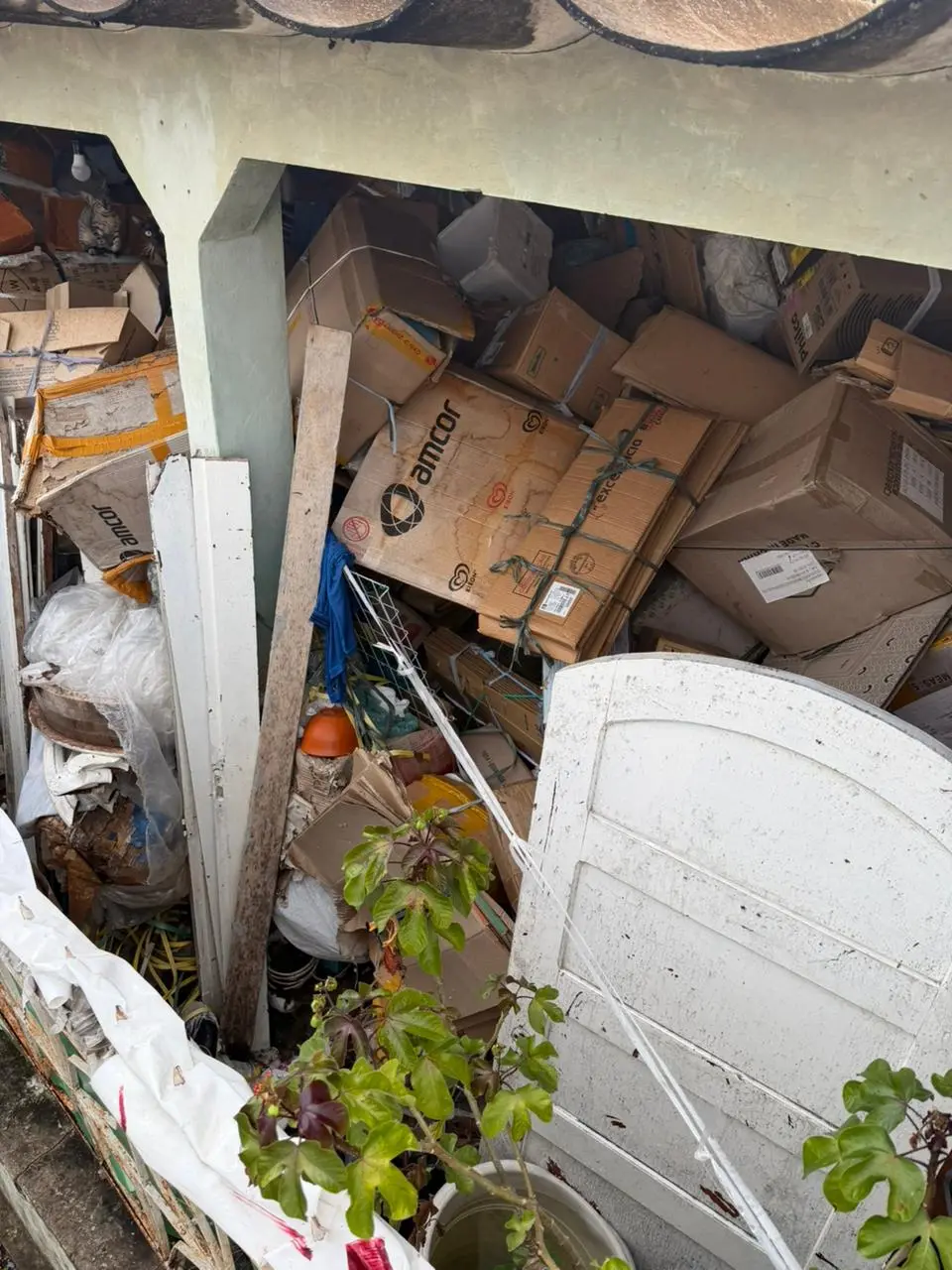 Moradores denunciam insalubridade causada por acumulador em bairro de Rio Branco