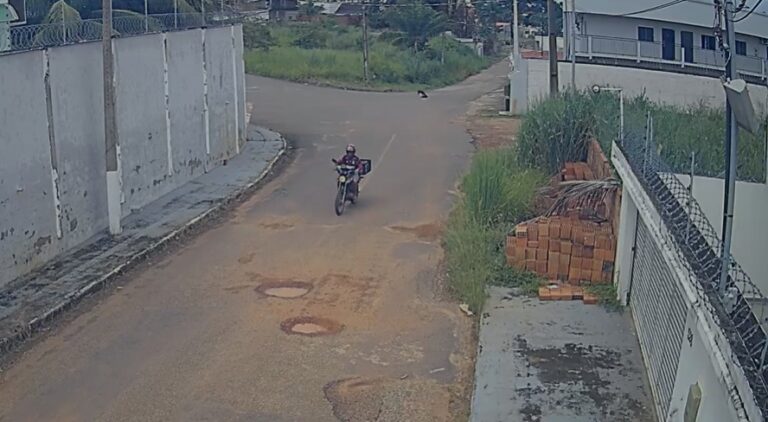 Motociclista é suspeito de agredir cachorro com bloco de cimento; veja vídeo