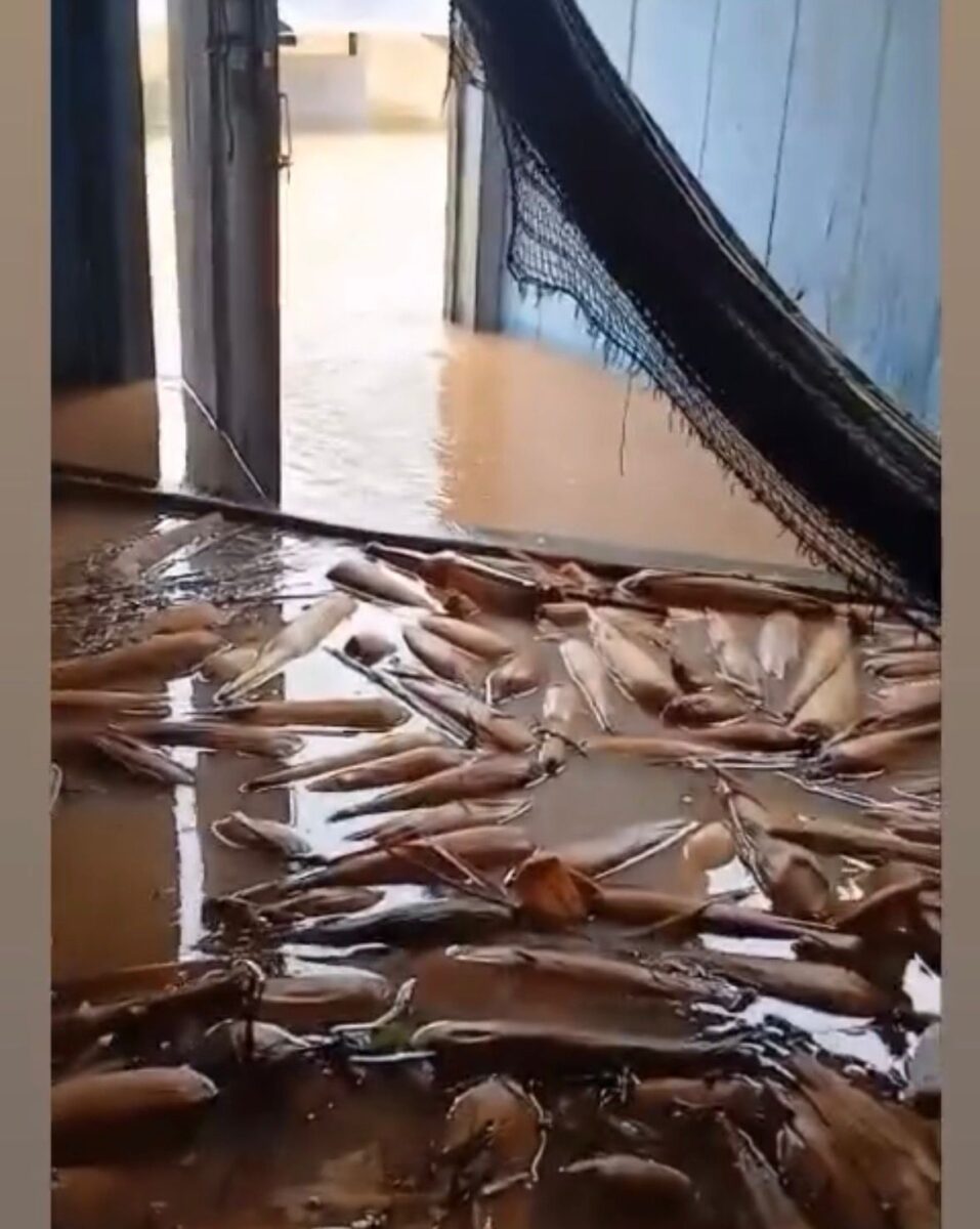 As fortes chuvas dos últimos dias têm provocado transtornos em diversas comunidades rurais de Cruzeiro do Sul