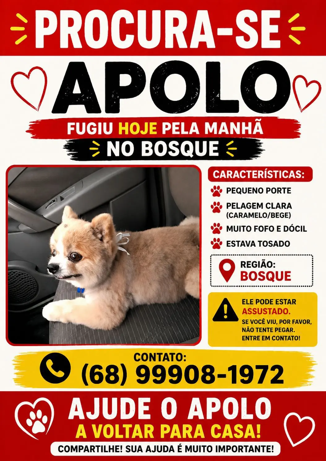 Procura-se Apolo: família em Rio Branco busca por cachorro desaparecido